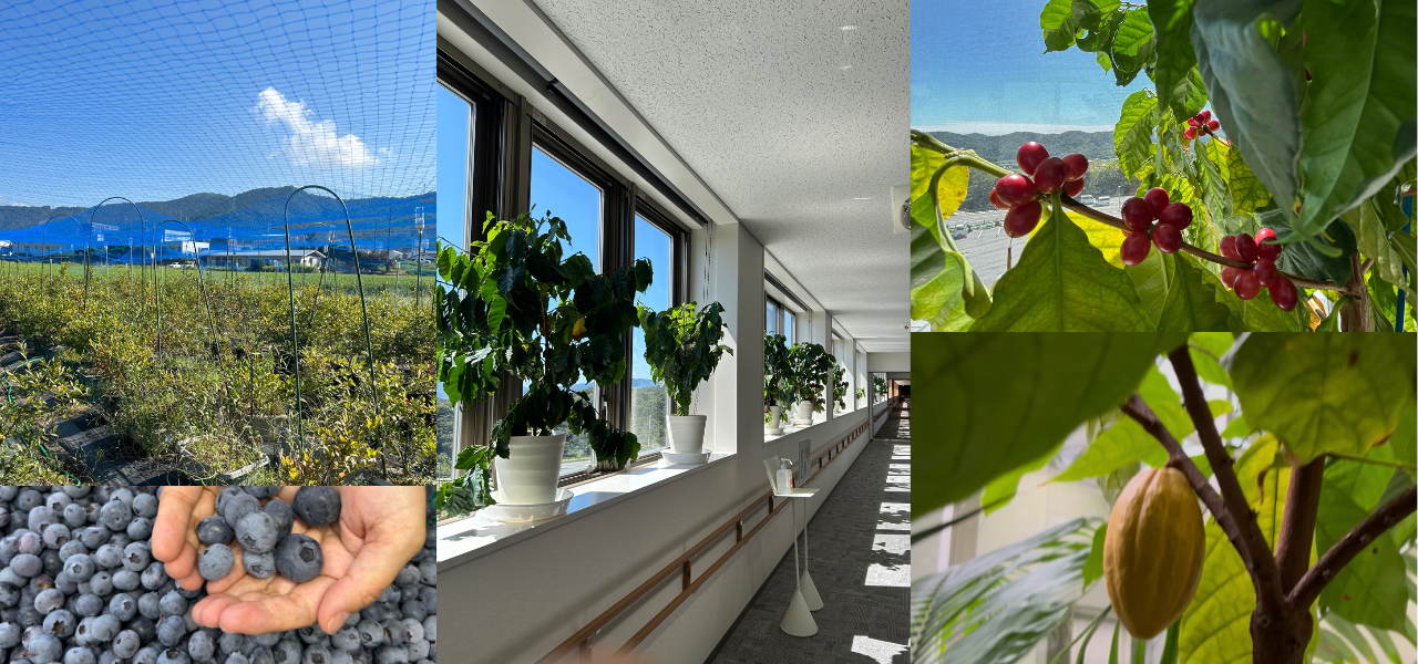 Tera賀茂塾校コンピューターサイエンスイメージ